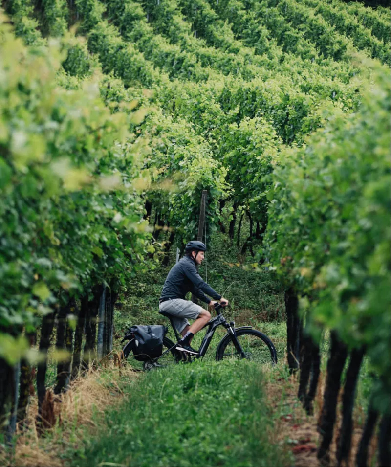 Cannondale Tesoro Neo X 3 Remixte Electric Hybrid Bike 2021 Graphite-3